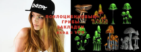 PSILOCYBIN Володарск